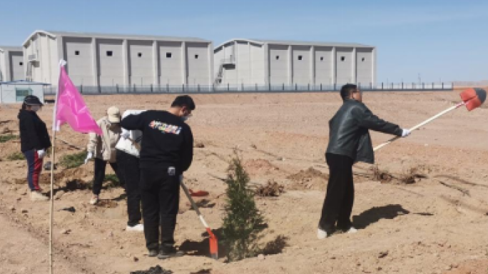 【“三抓三促”行動進行時】壽鹿實業集團公司積極參加景泰縣義務植樹活動